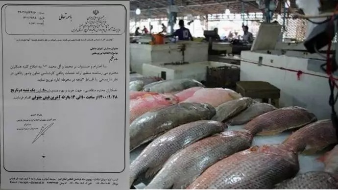 بيع الأسماك بالتقسيط للمعلمين من قبل النظام الإيراني