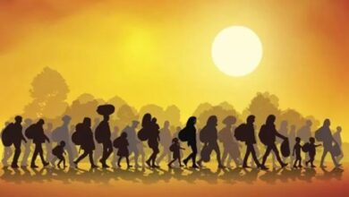 13ألفاً من الطلبة والتلاميذ يغادرون إيران سنويا