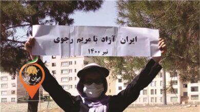 وحدات المقاومة