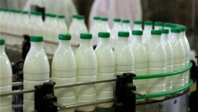 وزارة الصحة: بسبب الفقر، قام ثلث الإيرانيين بإزالة الحليب ومنتجات الألبان من مائدتهم