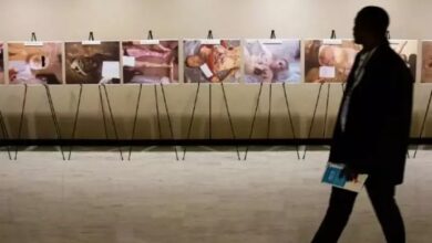 تقدم عددا من نشطاء حقوق الإنسان بناء على أدلة من اللاجئين السوريين الذين شهدوا عمليات عسكرية وتفجيرات برفع دعوى قضائية أمام المحكمة الجنائية