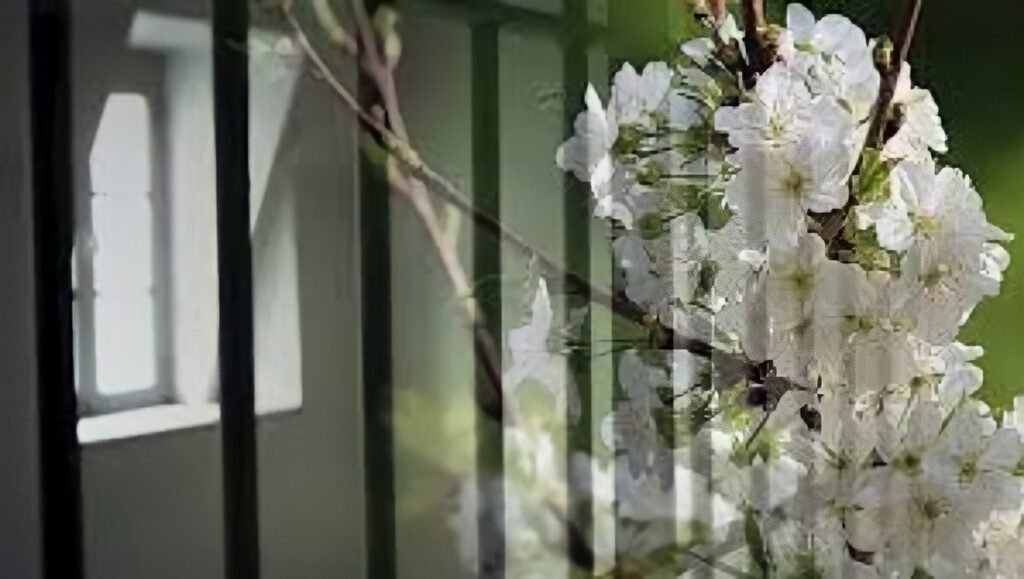 رسائل السجناء السياسيين الإيرانيين بمناسبة العام الإيراني الجديد