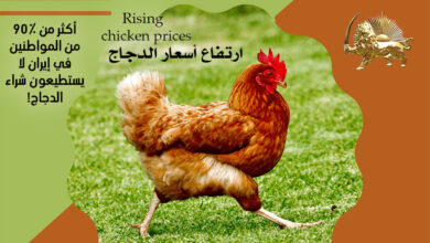 أكثر من 90٪ من المواطنين في إيران لا يستطيعون شراء الدجاج
