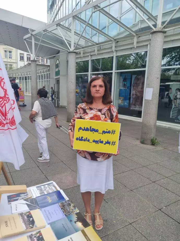 فيينا وهامبورغ وهايدلبرغ وآرهوس تشهد وقفات إيرانيين لدعم الانتفاضة الوطنية في إيران