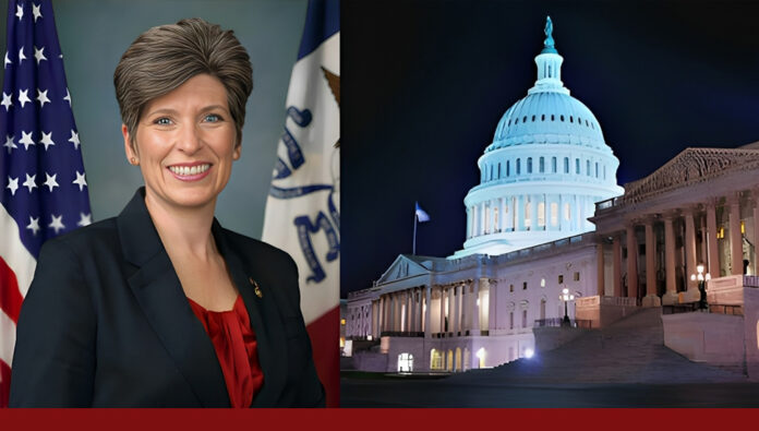 الجمهوريون في مجلسي الشيوخ والنواب الأميركيين يدعون إلى اتخاذ إجراءات ضد المتسللين للنظام الإيراني