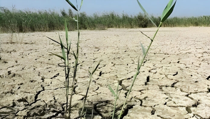 لماذا يلجأ خامنئي إلى مصادرة الأراضي الزراعية؟