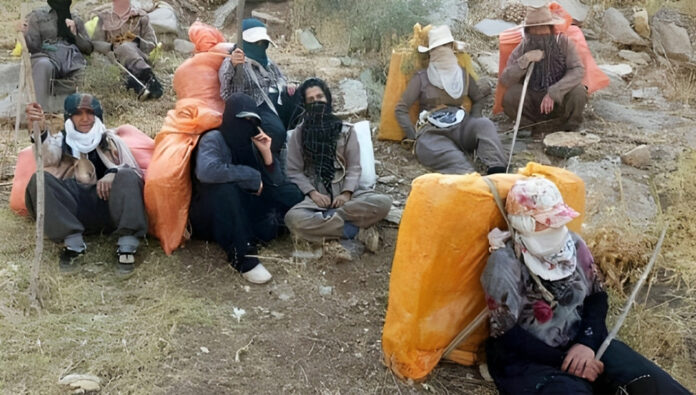 هجوم قوات الحرس التابعة لخامنئي على العتالين الكادحين- مقتل عتال وجرح 7آخرين