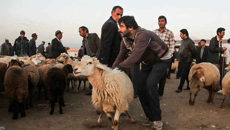 الفقر الغذائي وتدمير صناعة تربية الماشية في إيران