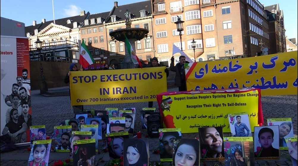 تقرير بالصور - إقامة طاولة كتب ومعرض لصور الشهداء - كوبنهاغن وهايدلبرغ