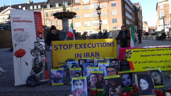 تقرير بالصور - إقامة طاولة كتب ومعرض لصور الشهداء - كوبنهاغن وهايدلبرغ