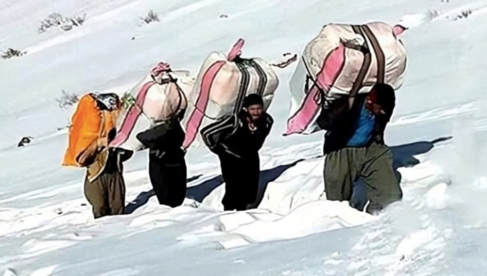 444 عتالًا، قتلوا على يد النظام الإيراني عام 2023