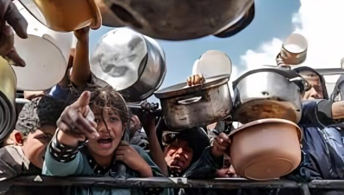 الأمم المتحدة: نصف مليون من سكان غزة يواجهون مستويات جوع 