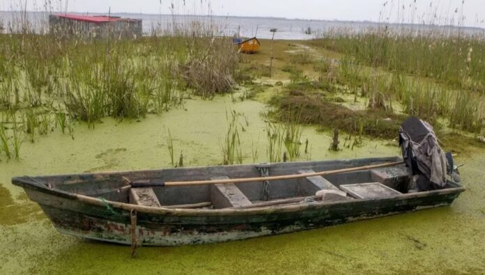 تدمير الأراضي الرطبة في إيران: بيئة إيران المتدهورة