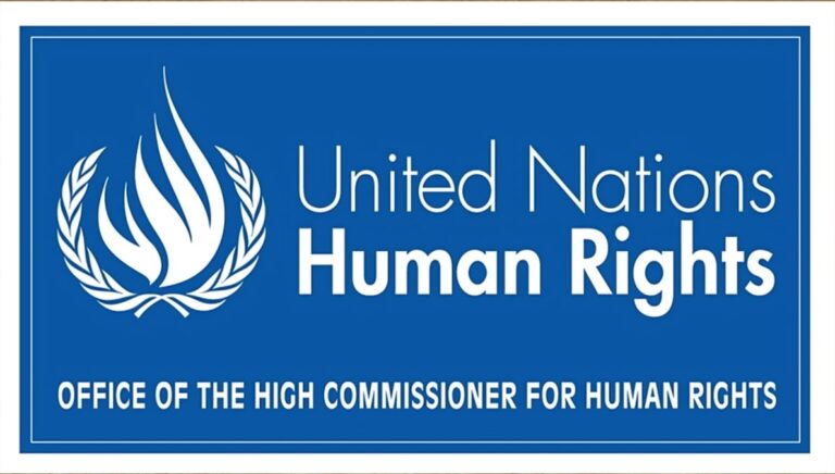 مفوضية الأمم المتحدة لحقوق الإنسان: خبراء الأمم المتحدة يدعون إلى وقف عقوبة الإعدام في إيران