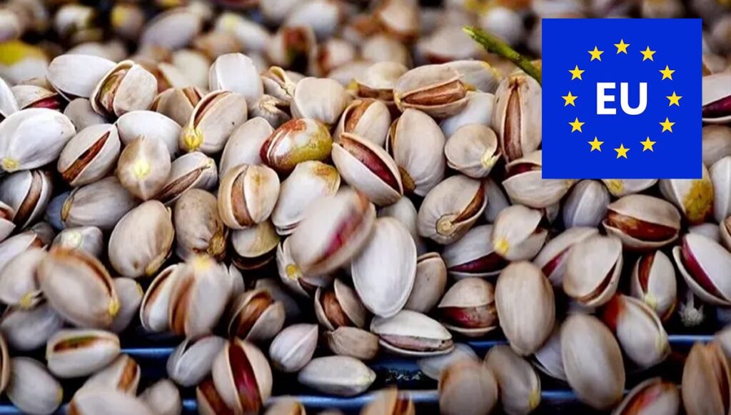 الاتحاد الأوروبي يحظر استيراد الفستق الإيراني بسبب تلوث الأفلاتوكسين