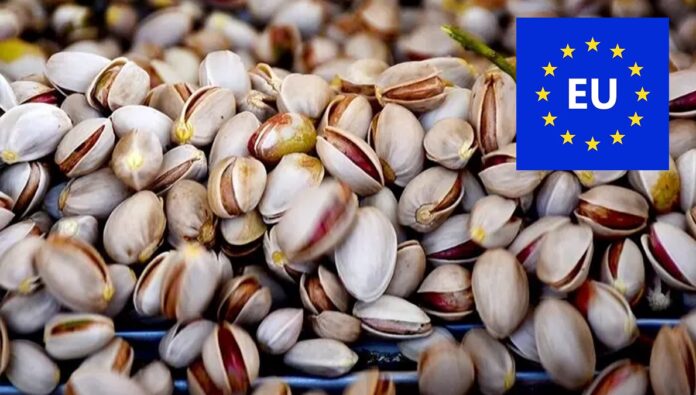 الاتحاد الأوروبي يحظر استيراد الفستق الإيراني بسبب تلوث الأفلاتوكسين