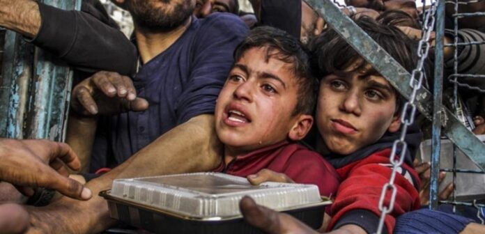 الأمم المتحدة: الفلسطينيون يموتون جوعاً في غزة تحت أنظار العالم