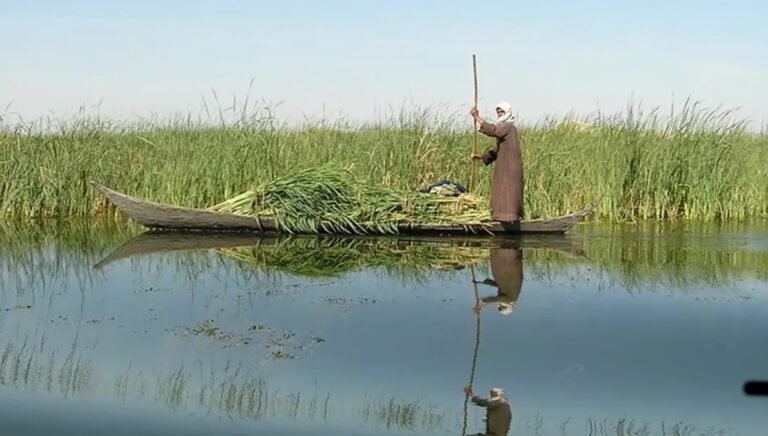 مخاطر بيئية مع توسع عمليات حفر النفطي في هور الهويزة بإيران