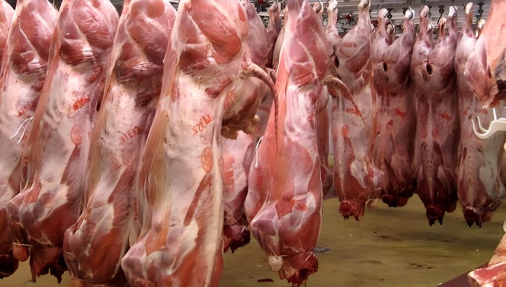 وزير إيراني: سعر اللحوم الحمراء في إيران أربعة أضعاف المعدل العالمي