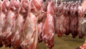 وزير إيراني: سعر اللحوم الحمراء في إيران أربعة أضعاف المعدل العالمي