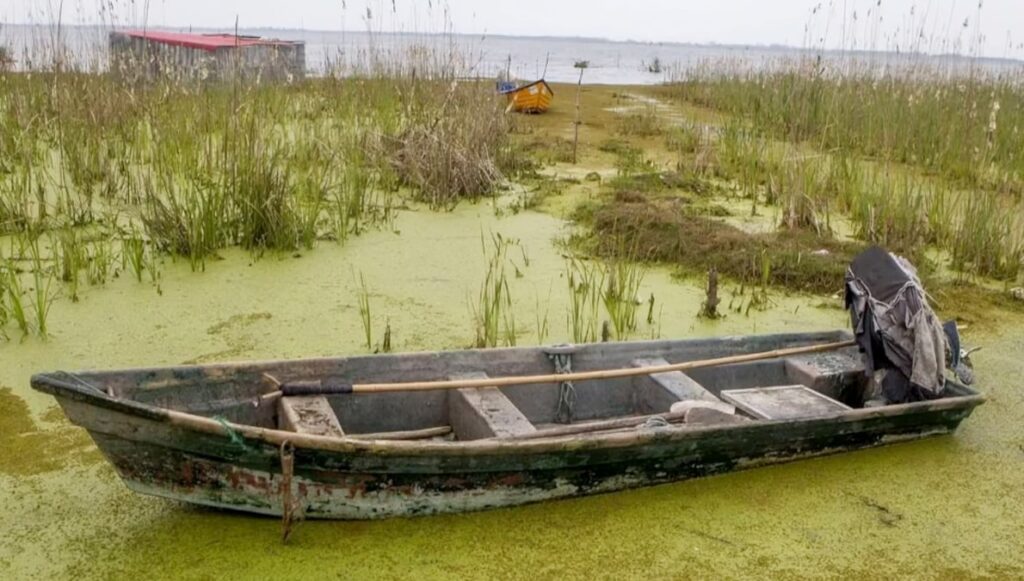 إيران تواجه أزمة بيئية متفاقمة مع جفاف الأراضي الرطبة