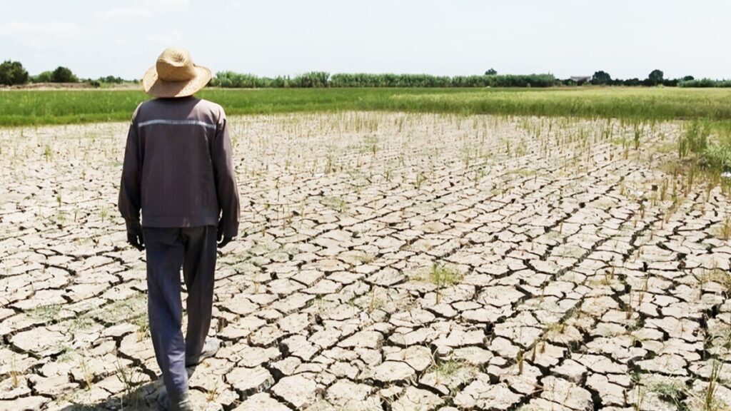 انهيار الزراعة في إيران – من الأمن الغذائي إلى هاوية الاستيراد القسري 