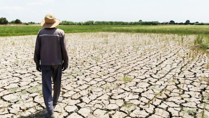 انهيار الزراعة في إيران – من الأمن الغذائي إلى هاوية الاستيراد القسري 