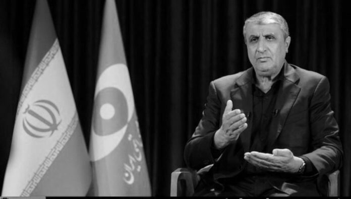 النظام الإيراني يهاجم مجاهدي خلق لكشفهم أسرار النظام النووية