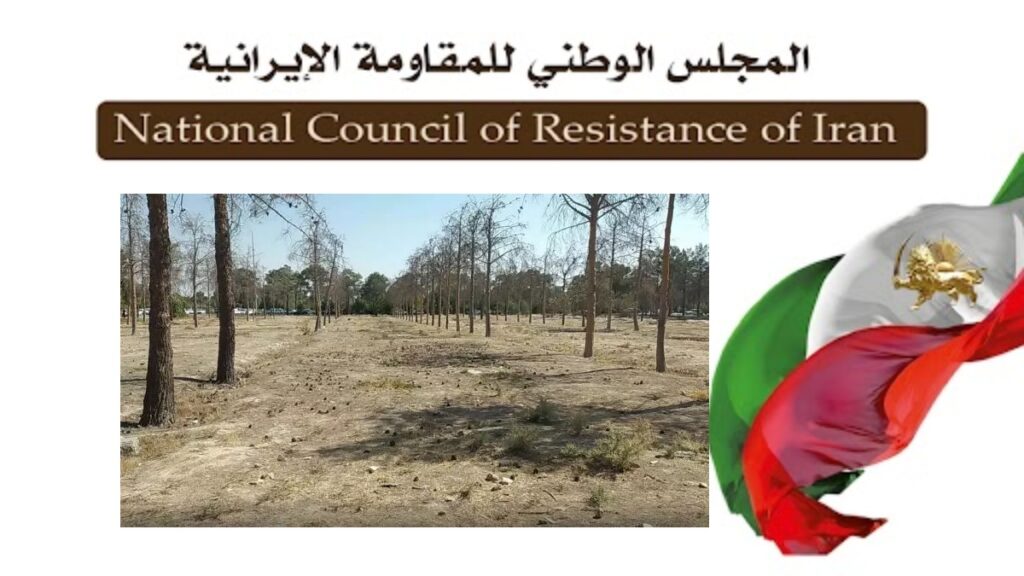 اعتراف مساعد رئيس بلدية طهران بتحويل مقابر آلاف شهداء الثمانينات إلى مرآب للسيارات