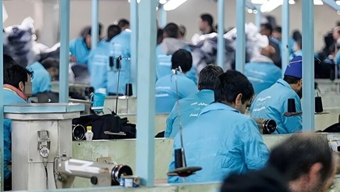 السخرة في سجون إيران: من العمل القسري إلى الاستغلال المزدوج
