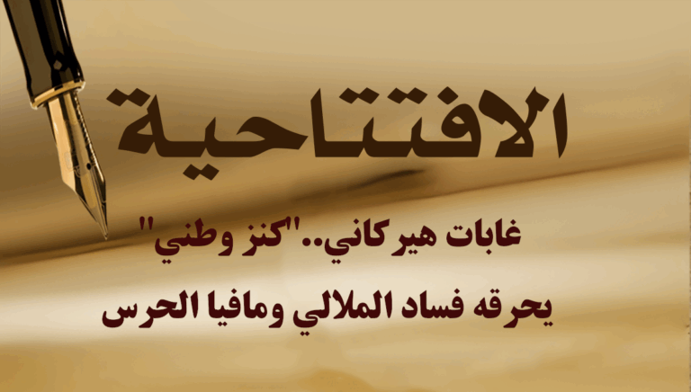 غابات هيركاني..”كنز وطني” يحرقه فساد الملالي ومافيا الحرس