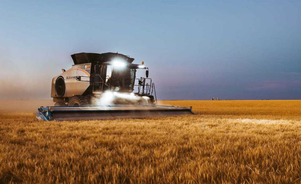 انخفاض إنتاج القمح بنسبة 30% وتضخم أسعار الخبز ينذر بكارثة غذائية