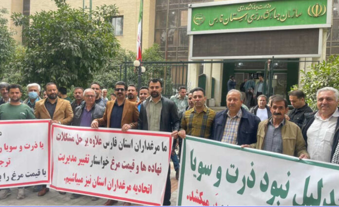 احتجاجات إيران: من المزارعين إلى مربّي الدواجن والعمّال