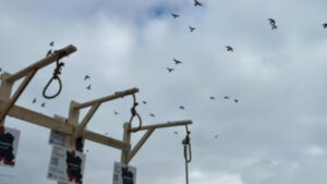 الإعدامات تفضح رعب نظام هش من شعب منتفض