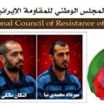 إعدام تعسفي لشابين من الثوار الشجعان بذريعة قيادة انتفاضة يناير