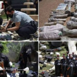 خلال 72 ساعة.. سوريا تحبط شحنتين إيرانيتين من الصواريخ والمسيّرات إلى حزب الله
