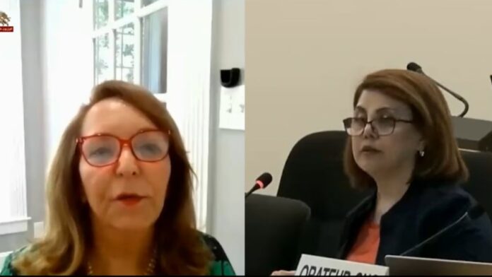 الدورة الـ 63 لمجلس حقوق الإنسان بجنيف: إدانات دولية لموجة الإعدامات في إيران