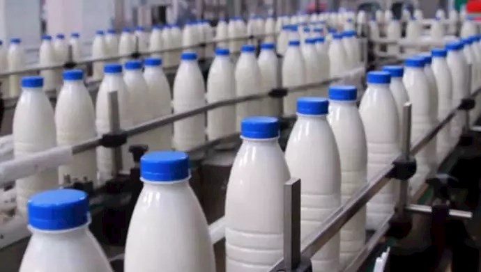 أسعار الحليب ومنتجات الألبان ترتفع
