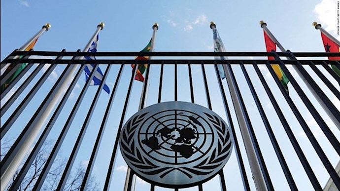 منظمة الأمم المتحدة لحقوق الإنسان