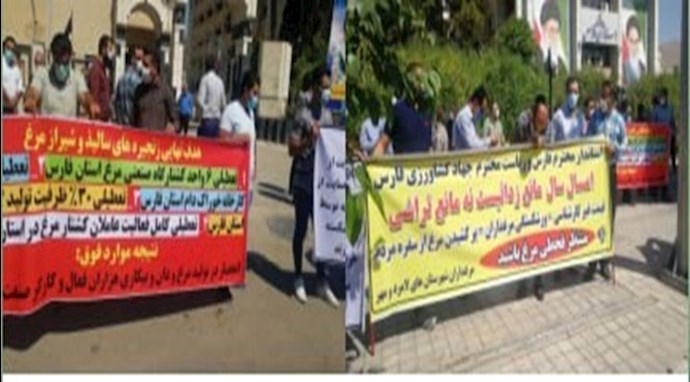 وقفة احتجاجية لمزارعي الدواجن في محافظة فارس 