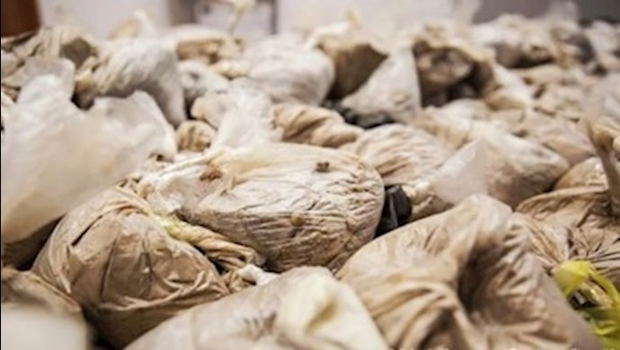 شحنة الهيروين بوزن 1452 كيلوجرامًا شحنة الهيروين بوزن 1452 كيلوجرامًا