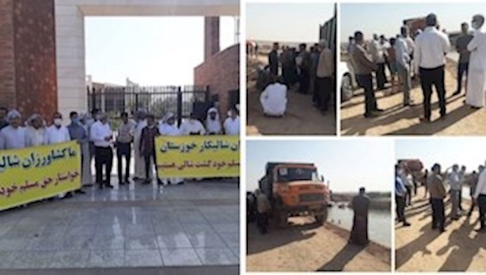 وقفة احتجاجية للمزارعين في الأهواز ومزارعي الأرز في خوزستان وقفة احتجاجية للمزارعين في الأهواز ومزارعي الأرز في خوزستان