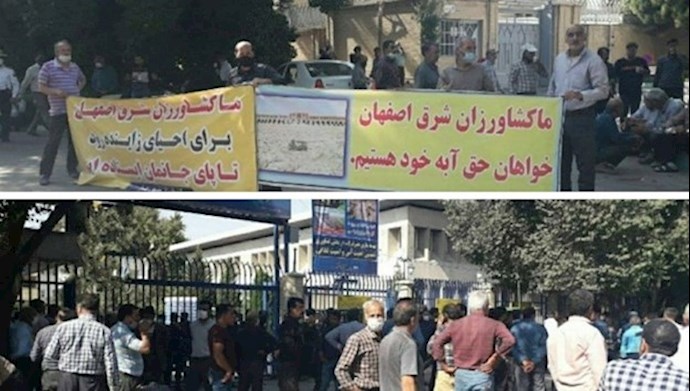 مزارعون يتظاهرون أمام دائرة المياه مزارعون يتظاهرون أمام دائرة المياه